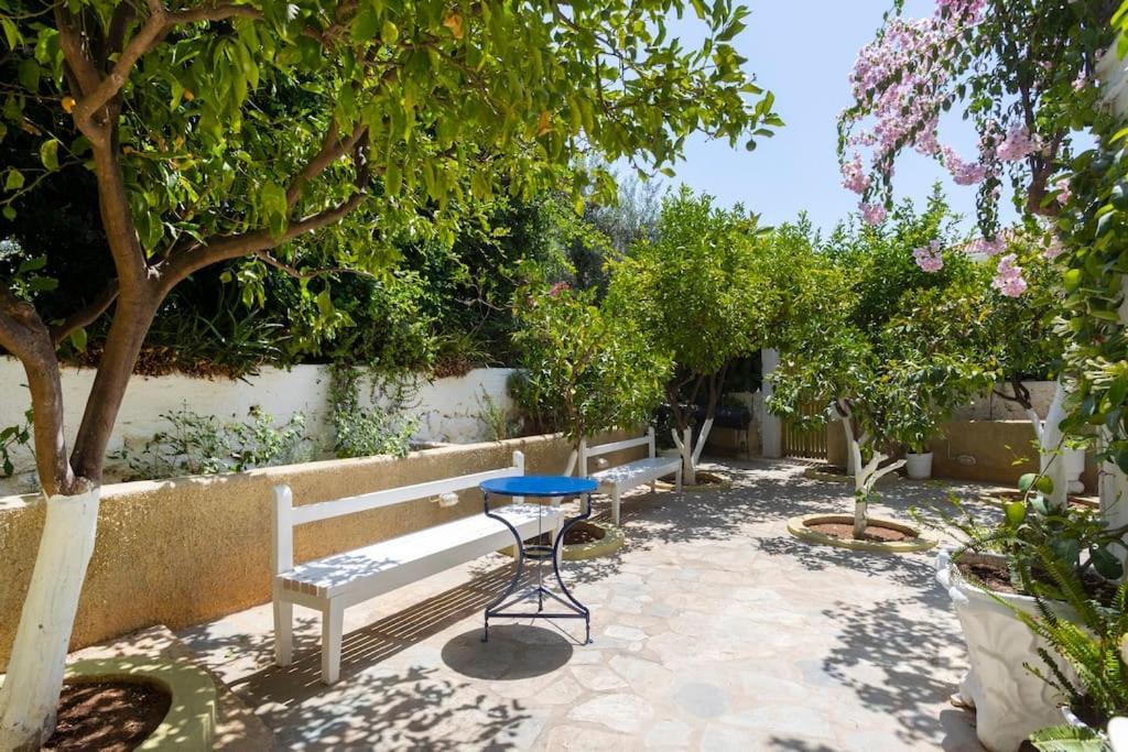 Villa Anel Spetses Town Extérieur photo
