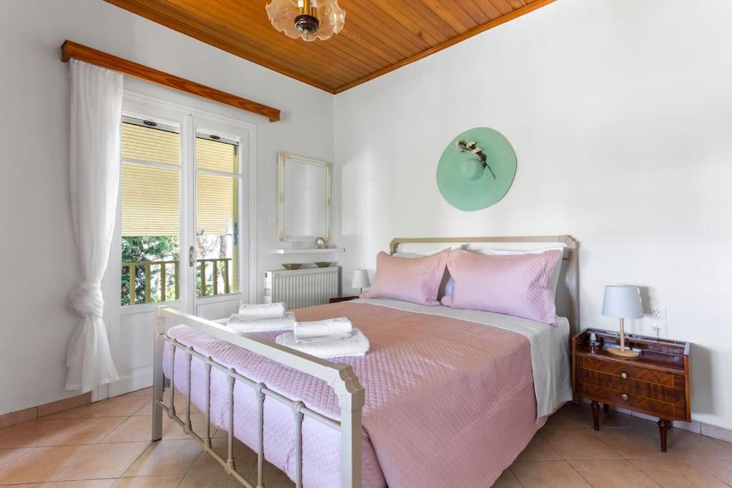 Villa Anel Spetses Town Extérieur photo